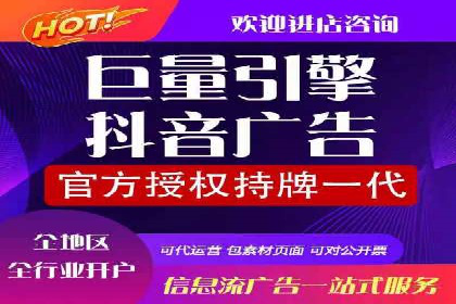 竞价排名优化策略案例分析